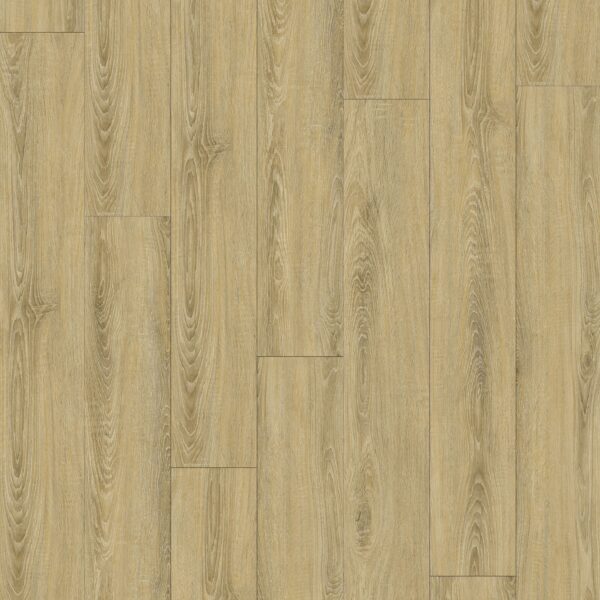 FloorsPlus Summer Element