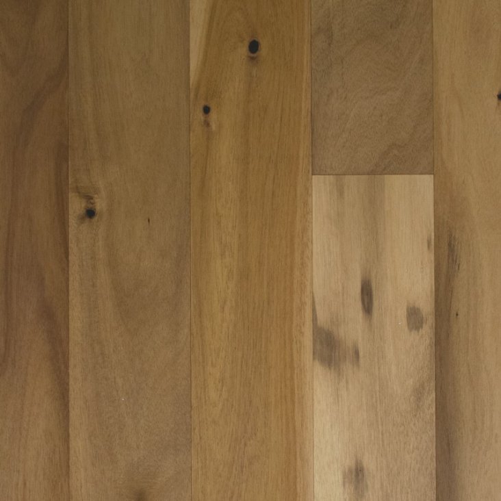 FloorsPlus Acacia Natural