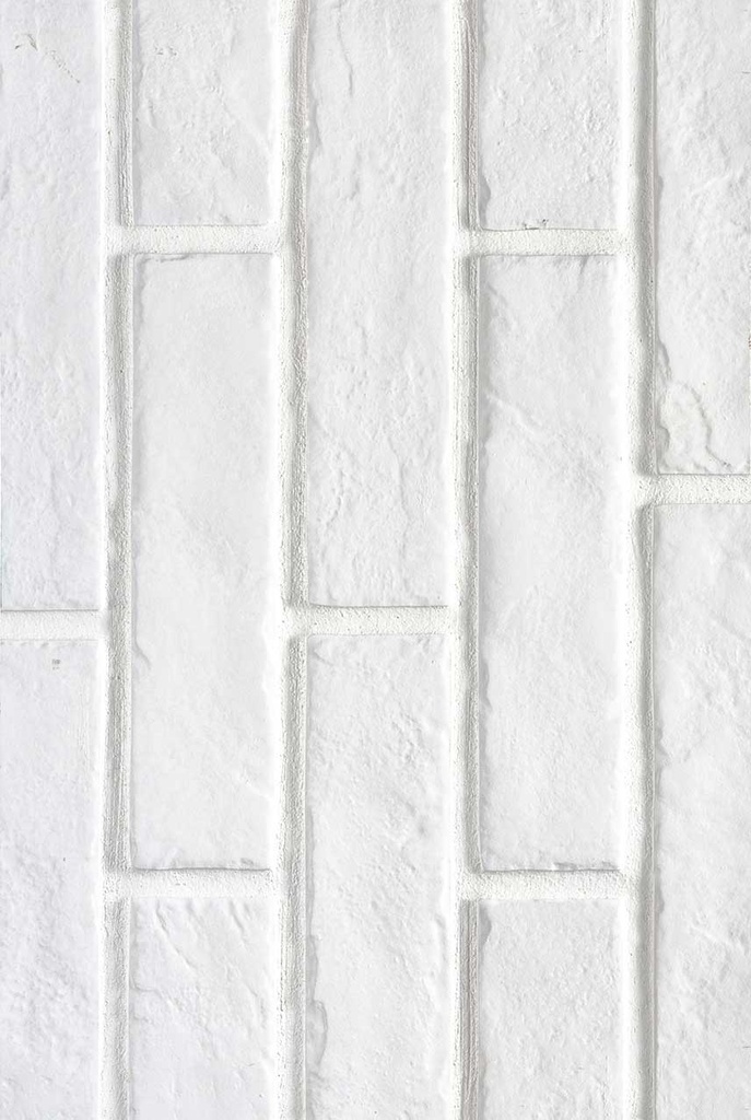 [NCAPWHIBRI2X10] MSI-BRICKSTONE WHITE BRICK 2X10