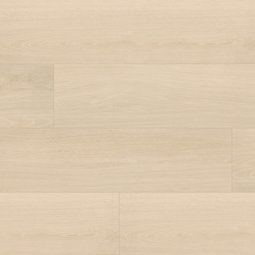 [NPLAMAP10X60] MSI-PLACERO MAPLE 10X60