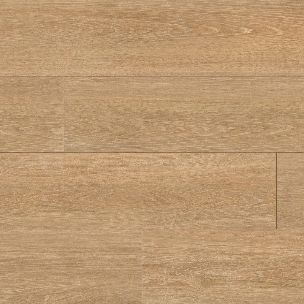 [NPLATIM10X60] MSI-PLACERO TIMBER 10X60