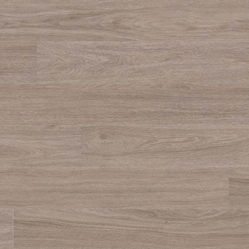 [VTGBLEELM6X48-2MM-6MIL] MSI-KATAVIA BLEACHED ELM 6x48