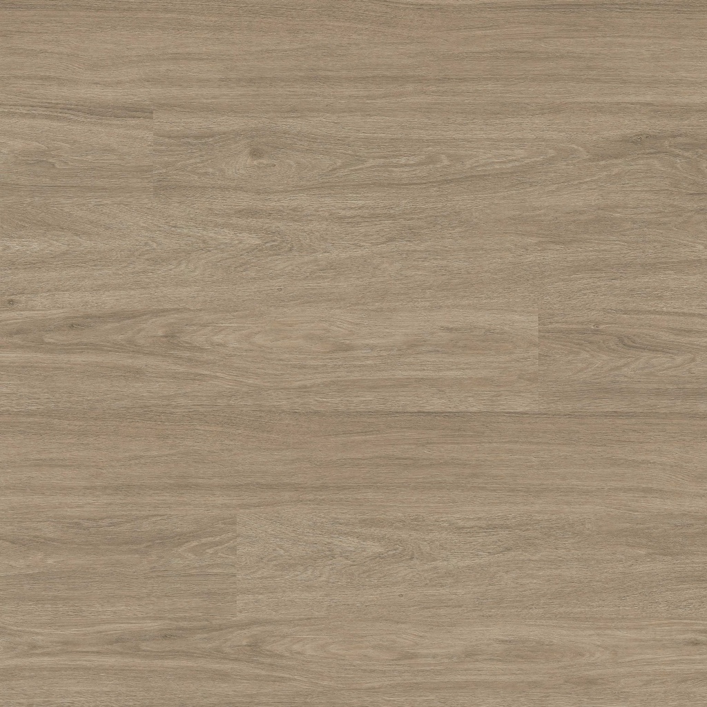 [VTGBLEELM7X48-2.5MM-20MIL] MSI-WILMONT BLEACHED ELM 7.36X48.31