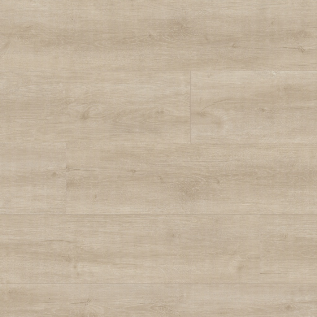 [VTRSHAGRO9X48-5MM-20MIL] MSI-LAUREL SHASTA GROVE 9X48